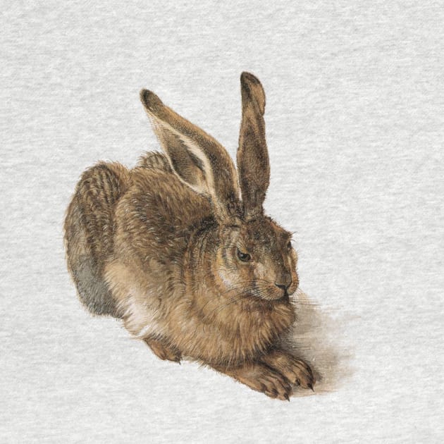 Young Hare by Albrecht Durer by blackroserelicsshop@gmail.com